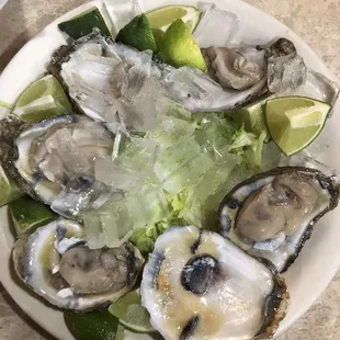 Oysters