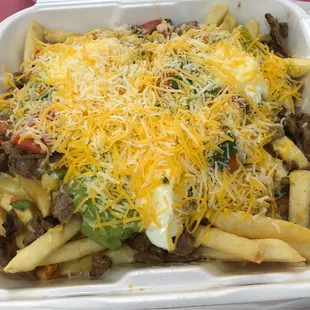 Carne asada fries
