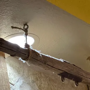 Noticed this colony of dust bunnies. Started worrying about the food but it was good.  This place NEEDS A THOROUGH CLEANING!