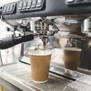 Coffee- South Swell (Central and South America Blend)