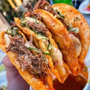 a hand holding a taco with meat and cheese