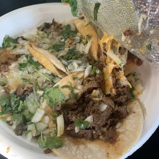 Steak tacos with cheese added for some reason? The person they are for is lactose intolerant. For myself I'd think BONUS!