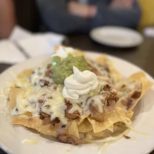 Nacho with carnitas