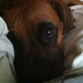 Mollie E.