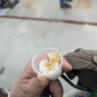 Scallop sample, 2/4/24