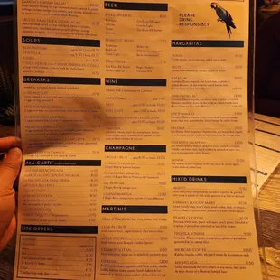 Menu back