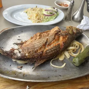 Rockfish