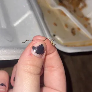Metal piece from food (was in a bite my partner had taken)