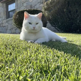 Sammy R.