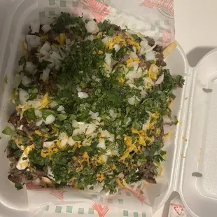 Carne Asada Fries