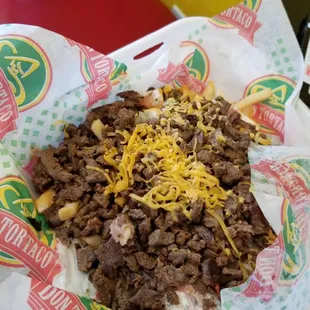 Carne Asada Fries