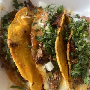 Best quesabirria tacos !