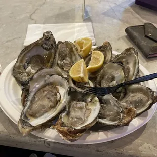 $12 Oysters on Wednesdays