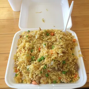 Talk about a MOUNTAIN of fried rice!