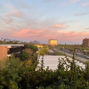 View from the roof facing east