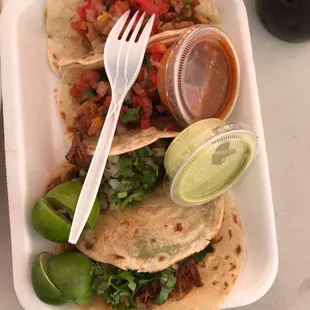 Two tacos de(of) chicken and two tacos de birria