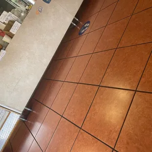 a dog laying on the floor