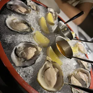 Oysters