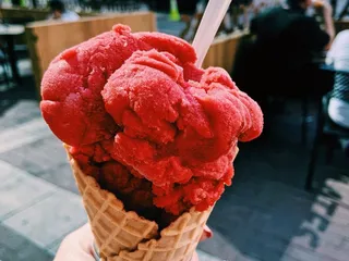 The South Bend Chocolate Company