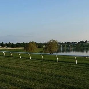 A view of the pond and fountain in the middle of one of the horse racing tracks.