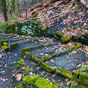 ramen and noodles, outside