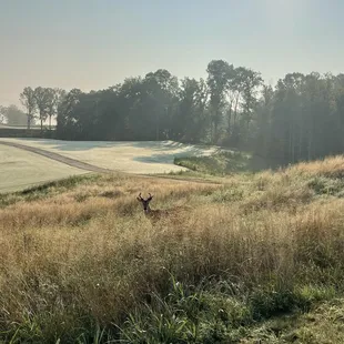 Donegal Highlands Golf Course