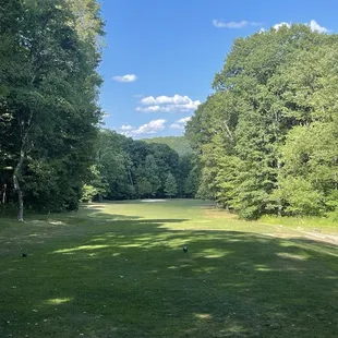 Beautiful T shot on hole 15