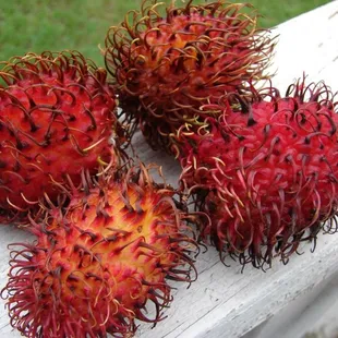 Rambutan
