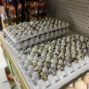 Quail eggs