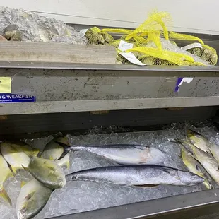 a display of fish on ice