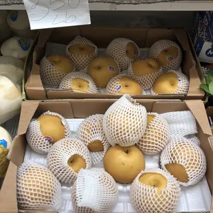 Asian pears
