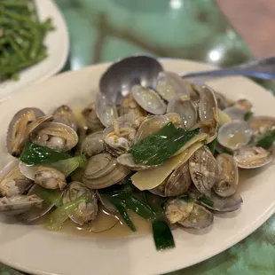 food, oysters, oysters and mussels, shellfish, mussels