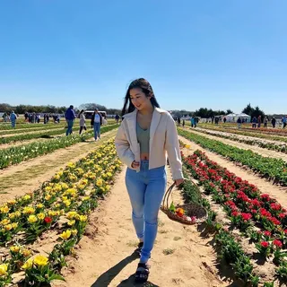 Priscilla L.