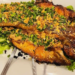 grilled fish with lettuce and cheese
