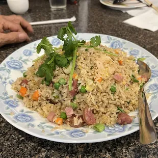 Fried rice - okay, kind of bland