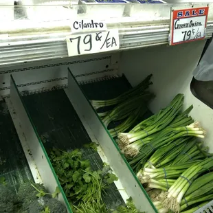 a display of fresh vegetables