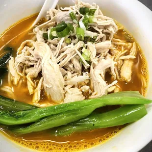 Shredded Chicken Noodle Soup