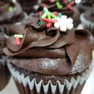 Chocolate Cupcakes. Pre orders only.