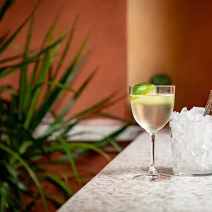 a glass of wine and a glass of ice on a table