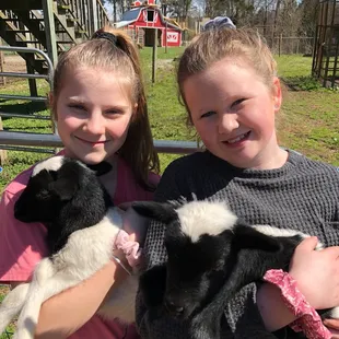Baby Kids (goats) are the Best!