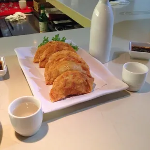 Fried Dumplings and Sake