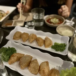 Fried Dumplings
