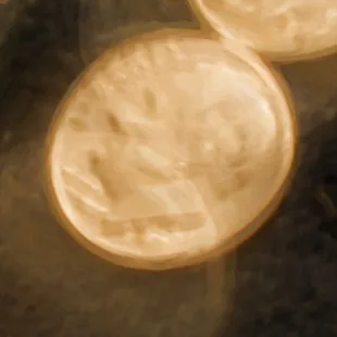 Hello,! happen to be wondering if you would be interested in these coins.   jsechovec7@gmail.com