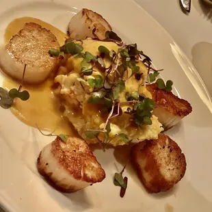 Scallops