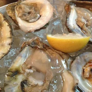 Raw Oysters