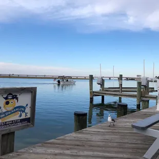 View from the dock