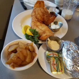 Fish of the Day