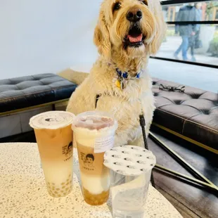 Tiramisu tea with cheese foam, original black tea with golden boba