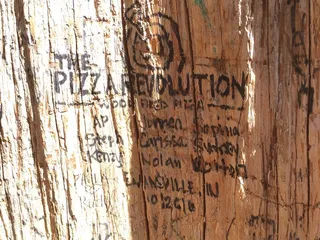 The Pizza Revolution