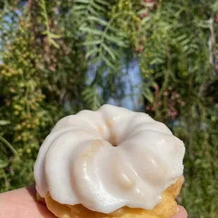 Cruller Donut